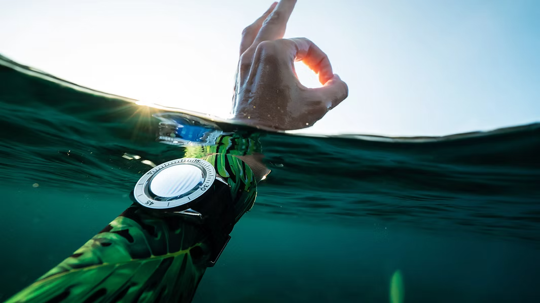 Top 5 Dive Watches That Look Good on Land Too